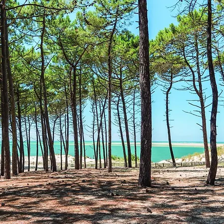 Stunning In Gujan-Mestras